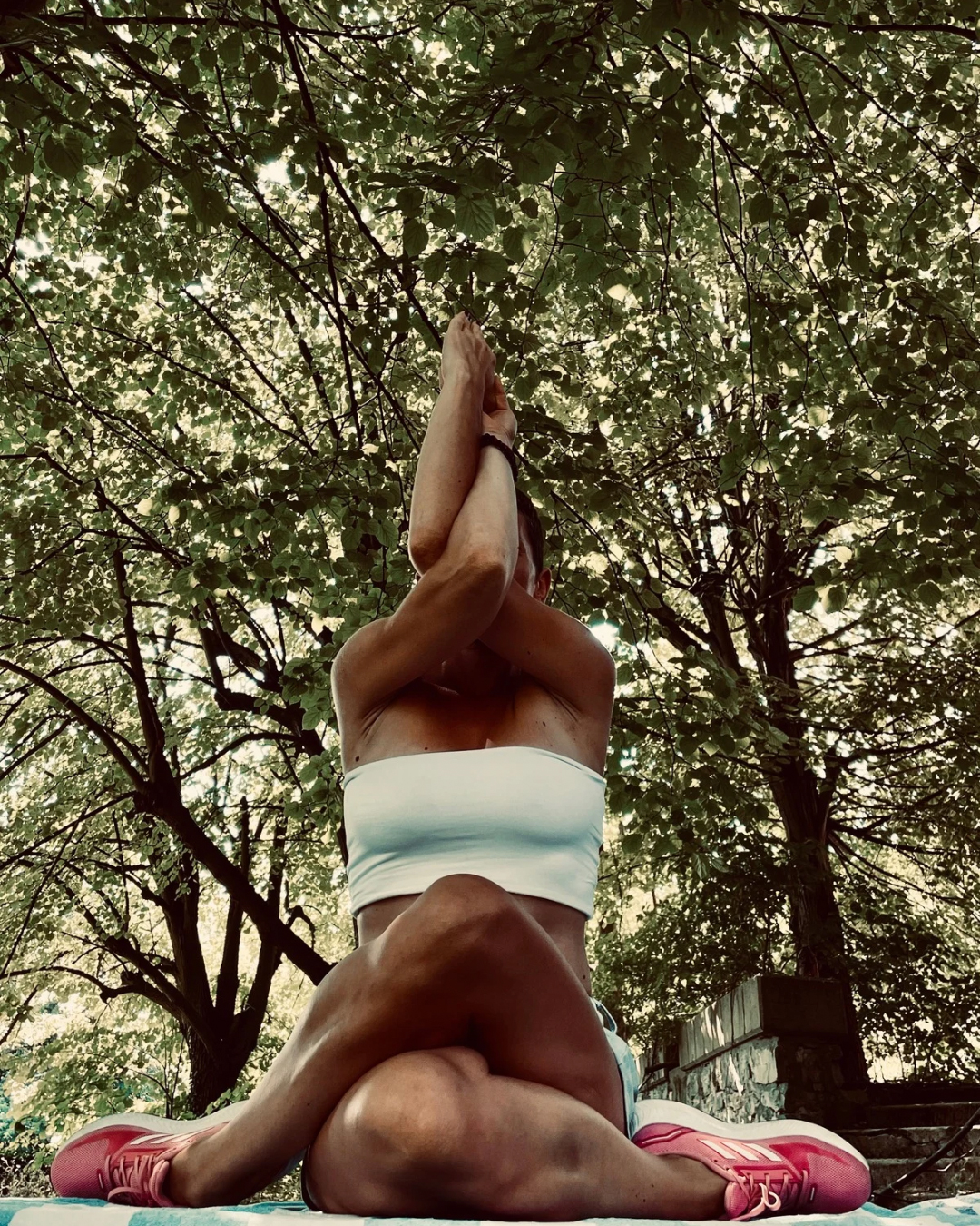Hatha-joga